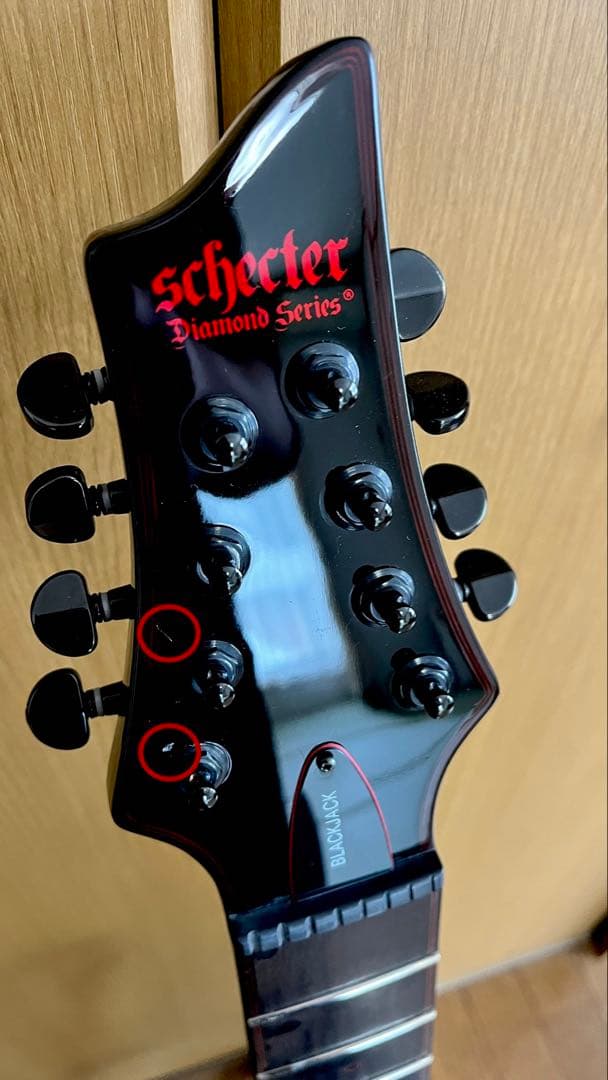 SCHECTER 8弦ギター【コイルタップ仕様】