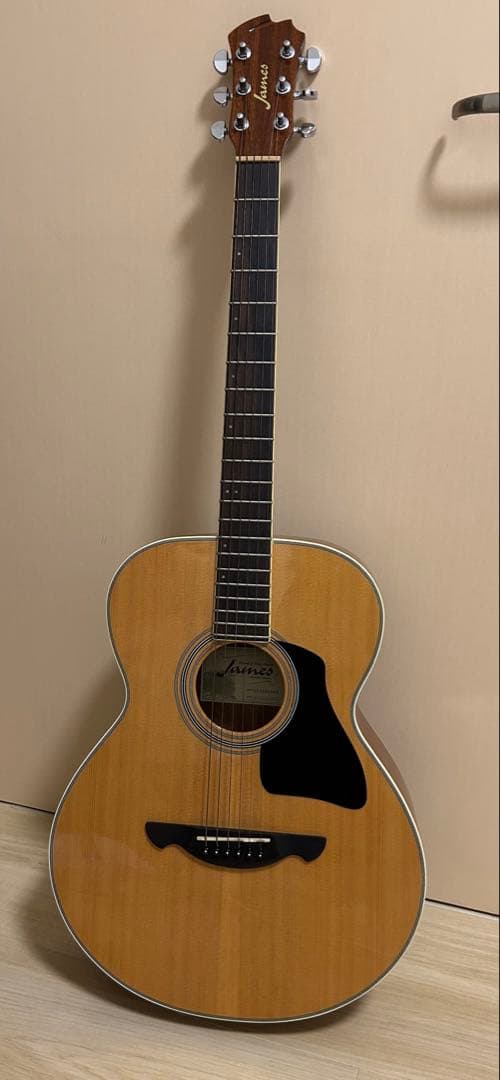 James JF400 アコースティックギター