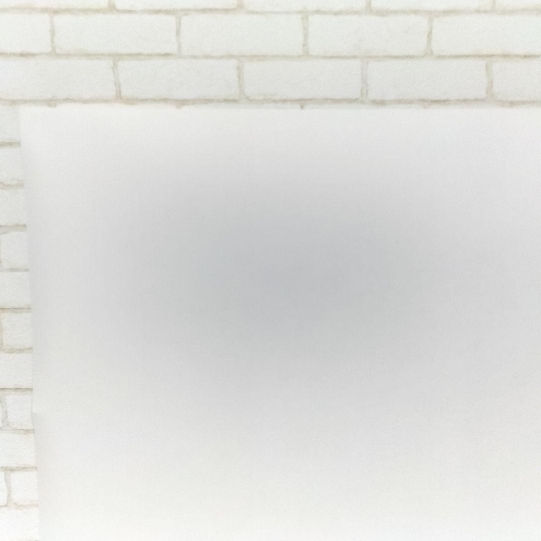 当時物 ディズニー 白雪姫の洞窟と祈りの泉  White Grotto