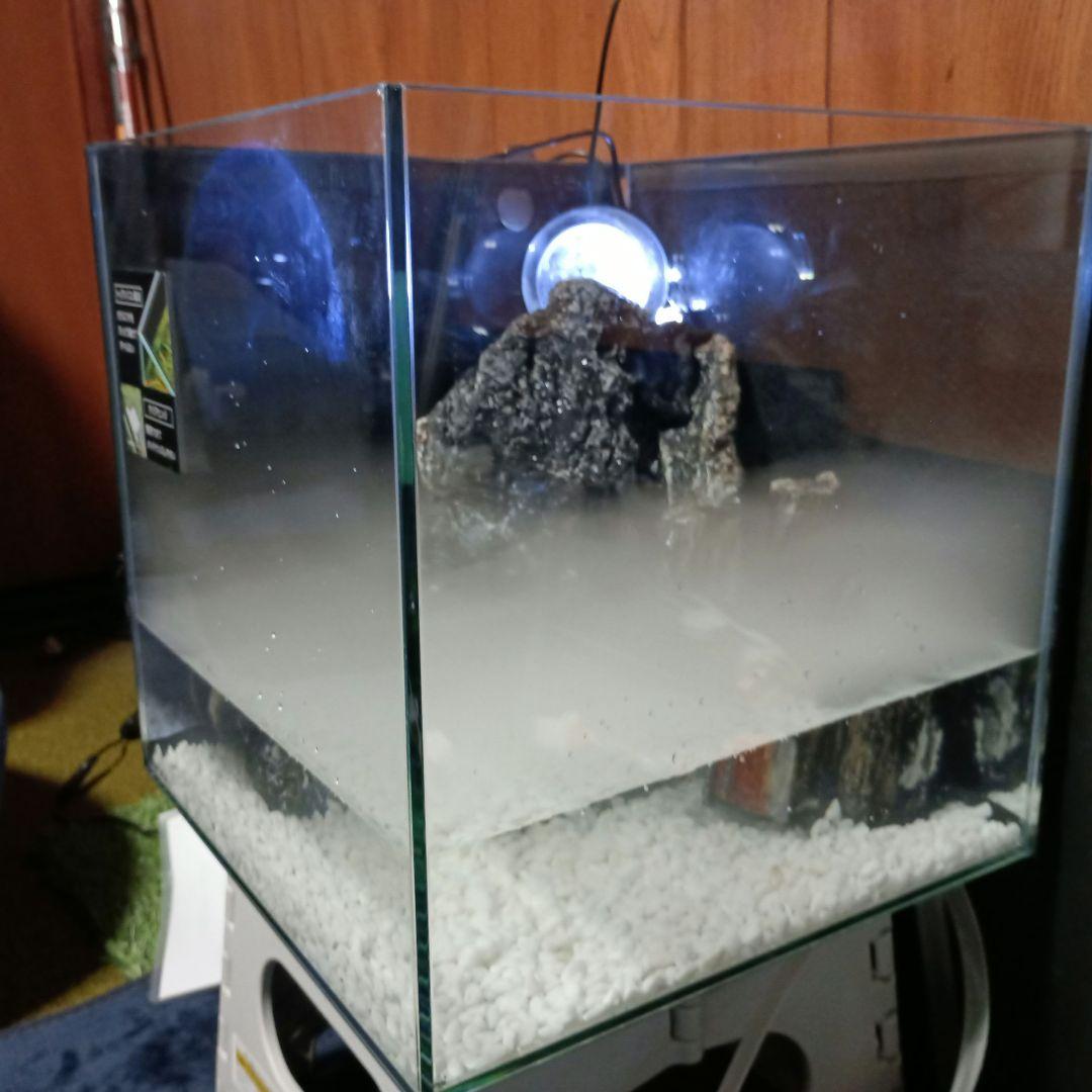 滝の流れるアクアリウム