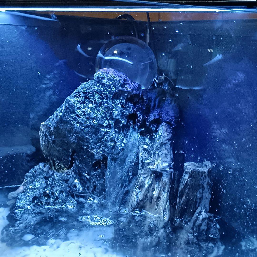 滝の流れるアクアリウム