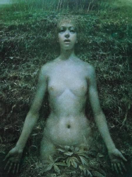 山本文彦、めざめ、希少・大判画集画、新品高級額・額装付