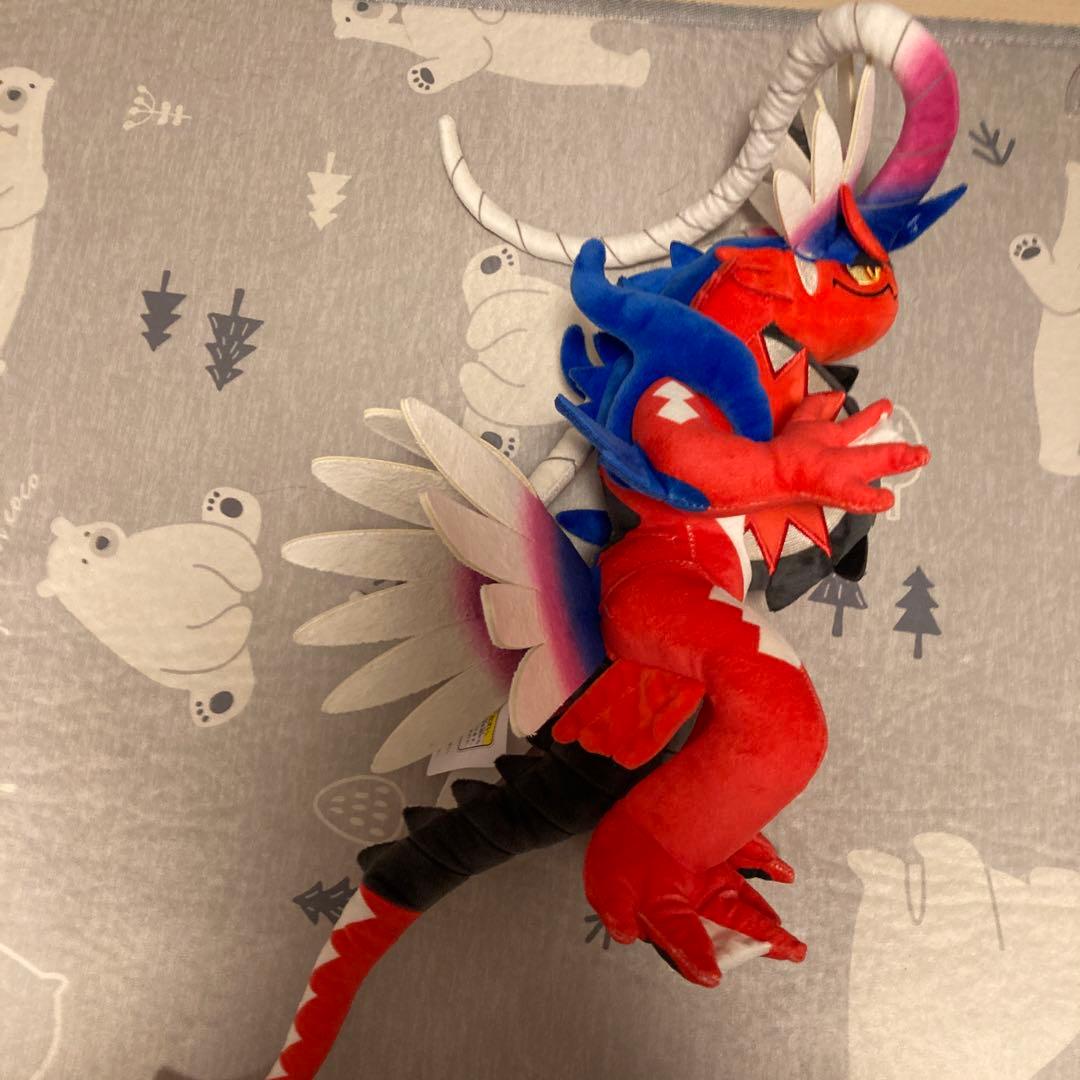ポケモンぬいぐるみ　コライドン