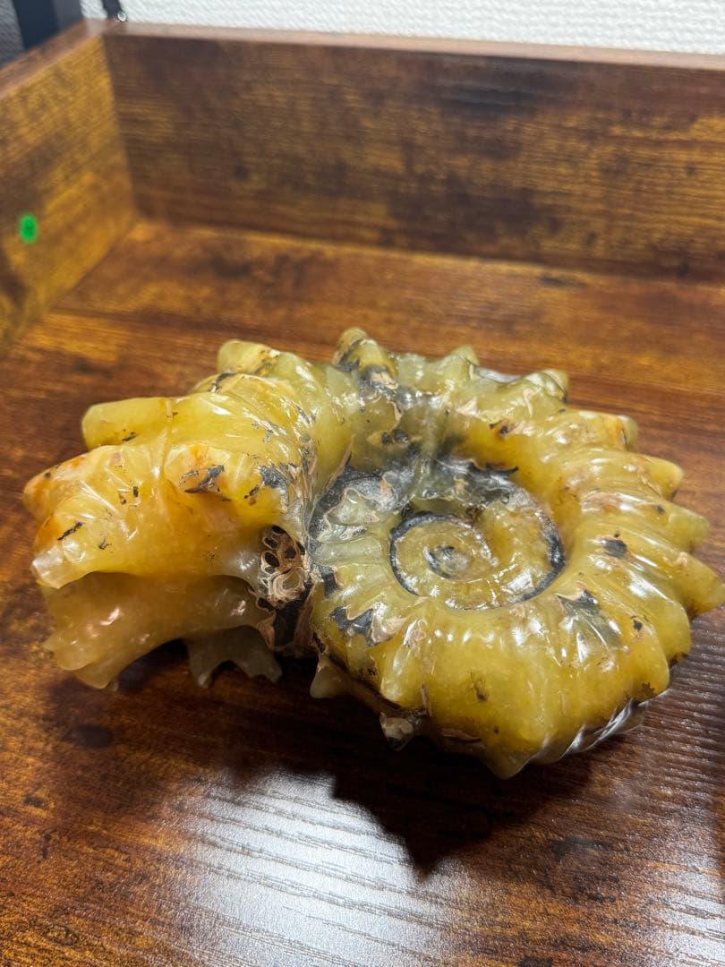 マダガスカル産 アンモナイト 化石 鉱物標本