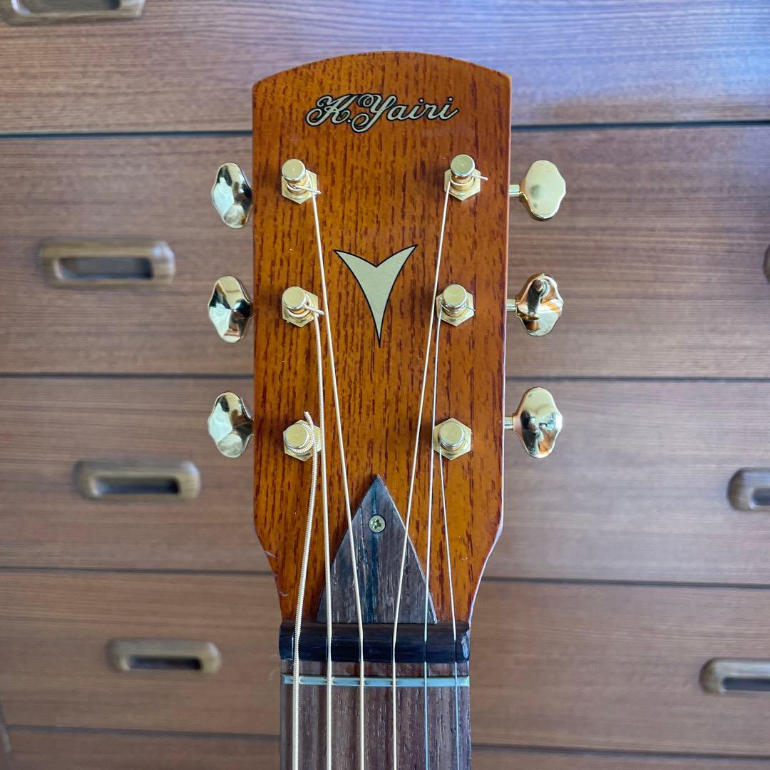 ❗️希少❗️Kヤイリノツクタウ　アカシアAN