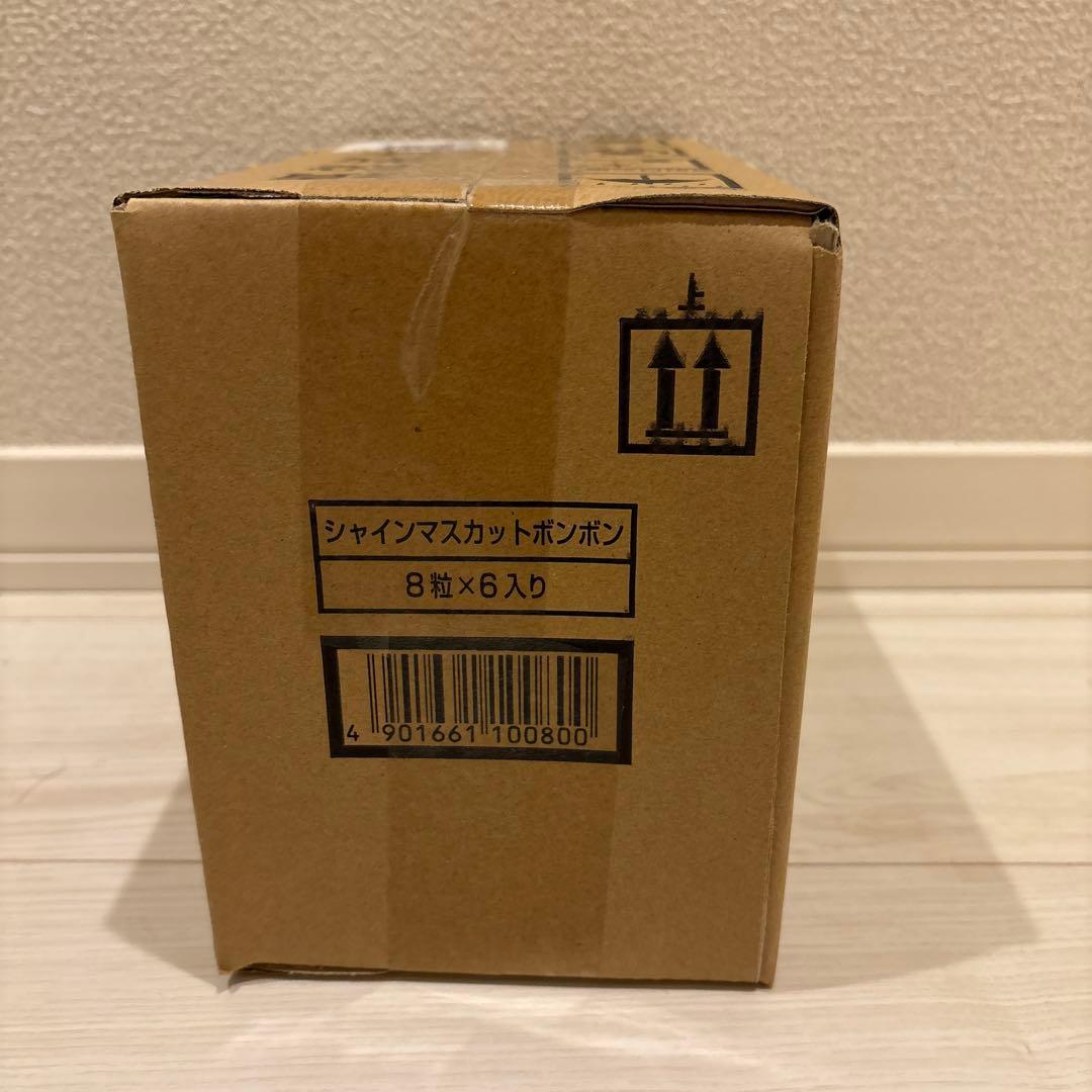 シャインマスカットボンボン　1箱6袋入