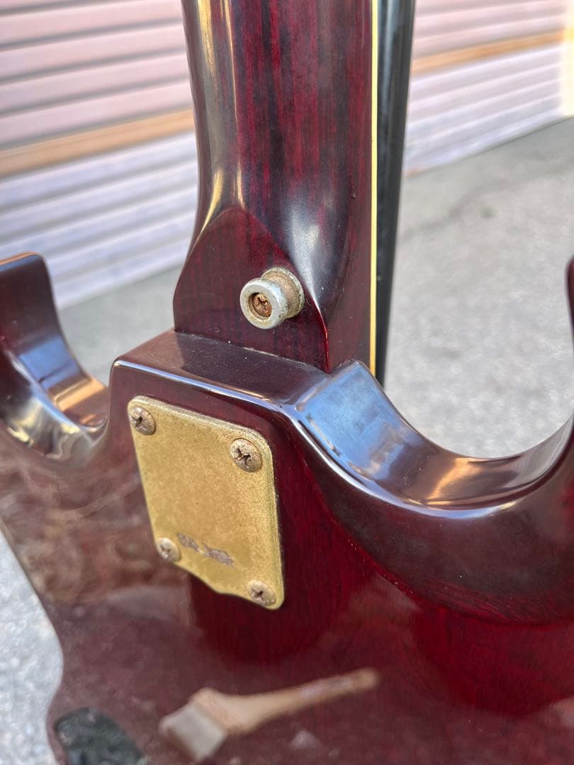 【Lake（レイク） 日本製 ビザールギター 長野ローカルブランド】