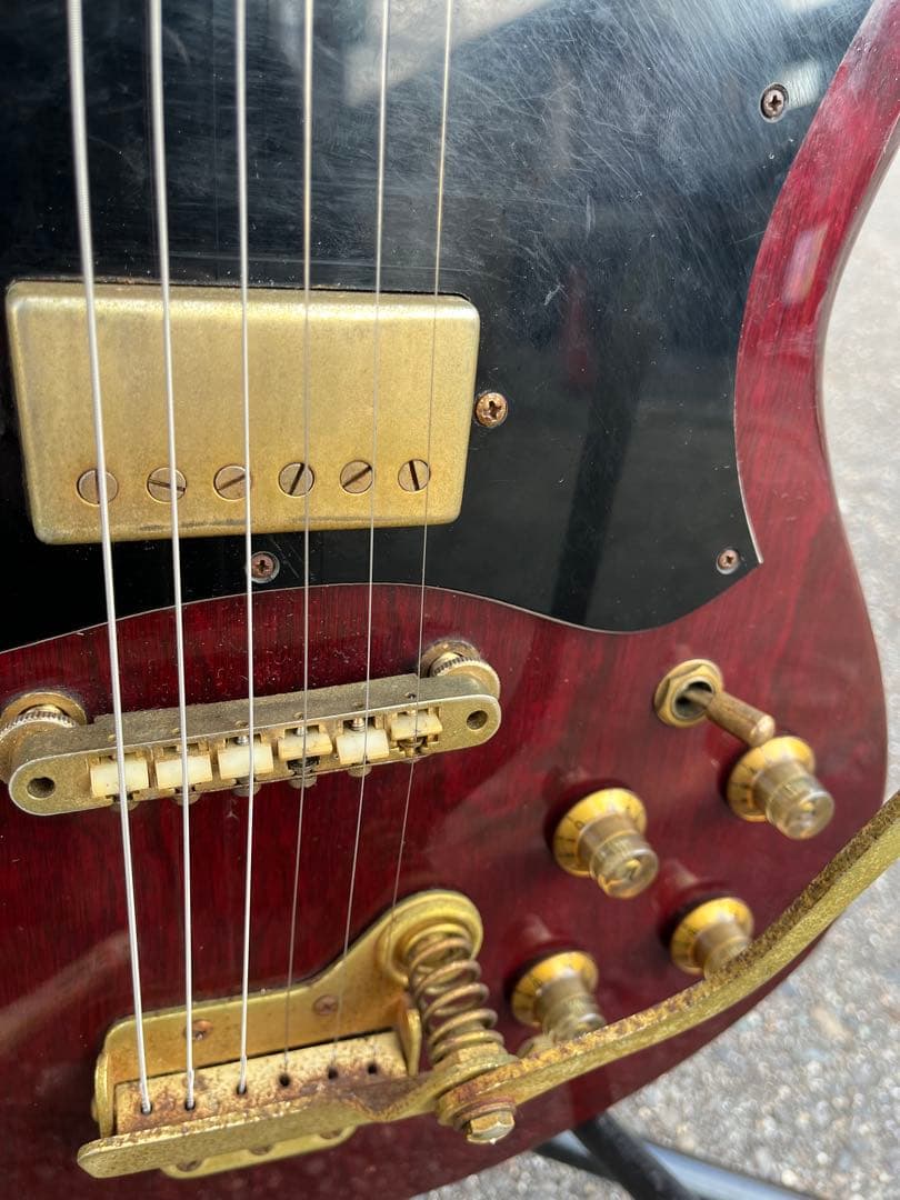 【Lake（レイク） 日本製 ビザールギター 長野ローカルブランド】