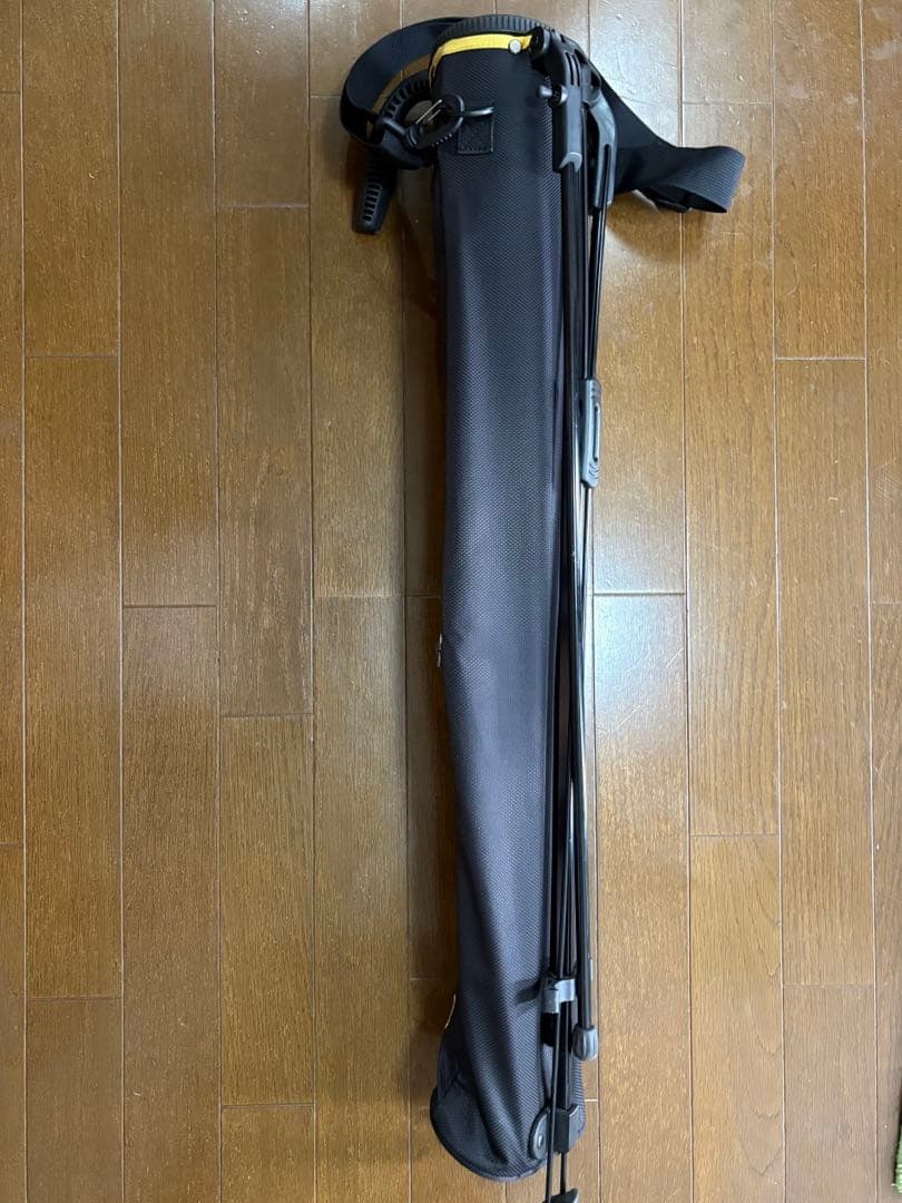 ダンスウィズドラゴン　セルフスタンドバック 最終値引き　早い者勝ち