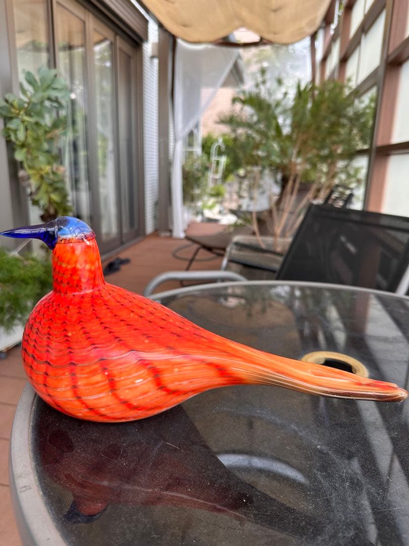 イッタラ　オイバトイッカRainbow Tern