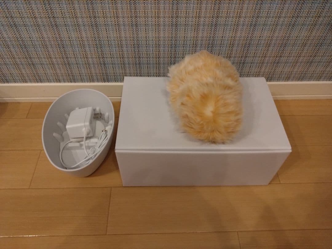 専用 中古モフリン（2ヶ月使用）