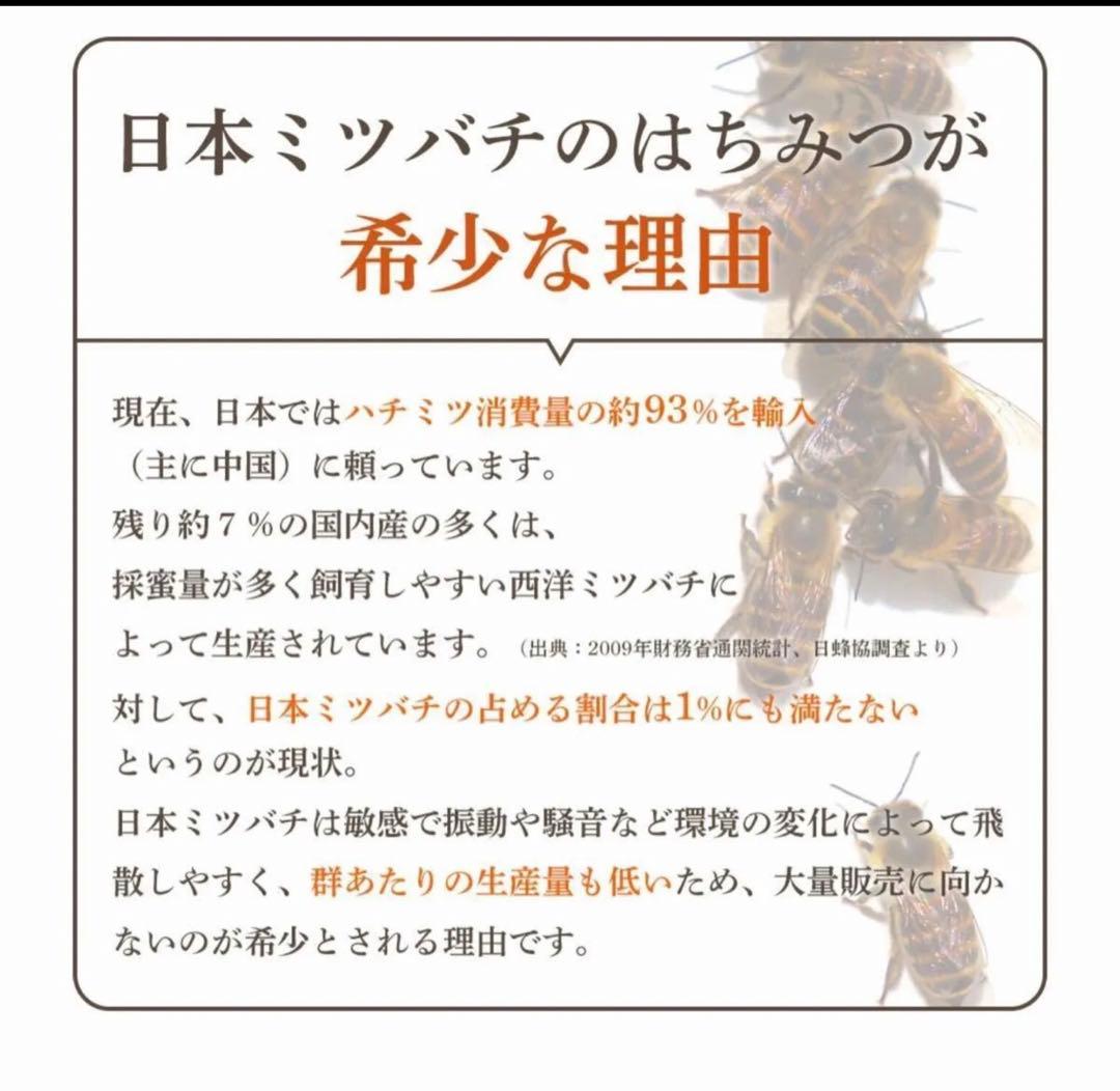 日本ミツバチ純粋垂れ蜜　無添加　非加熱　440g 3個