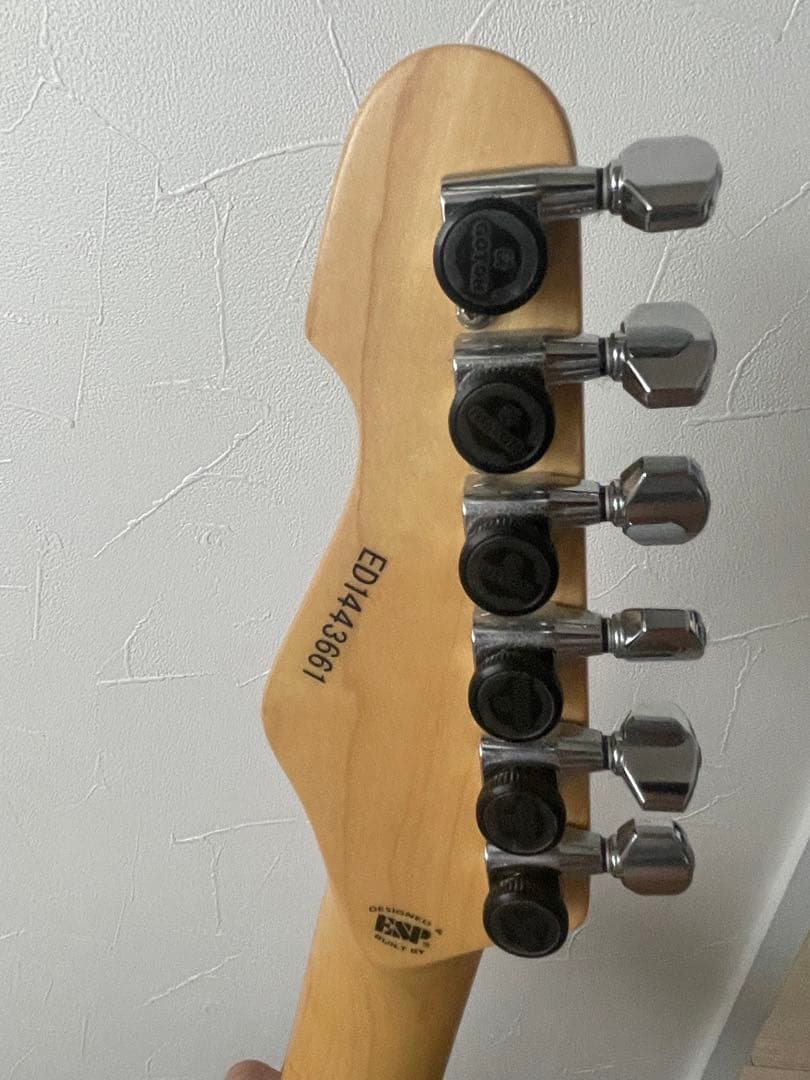 ギター Edwards Snapper E-SN-120