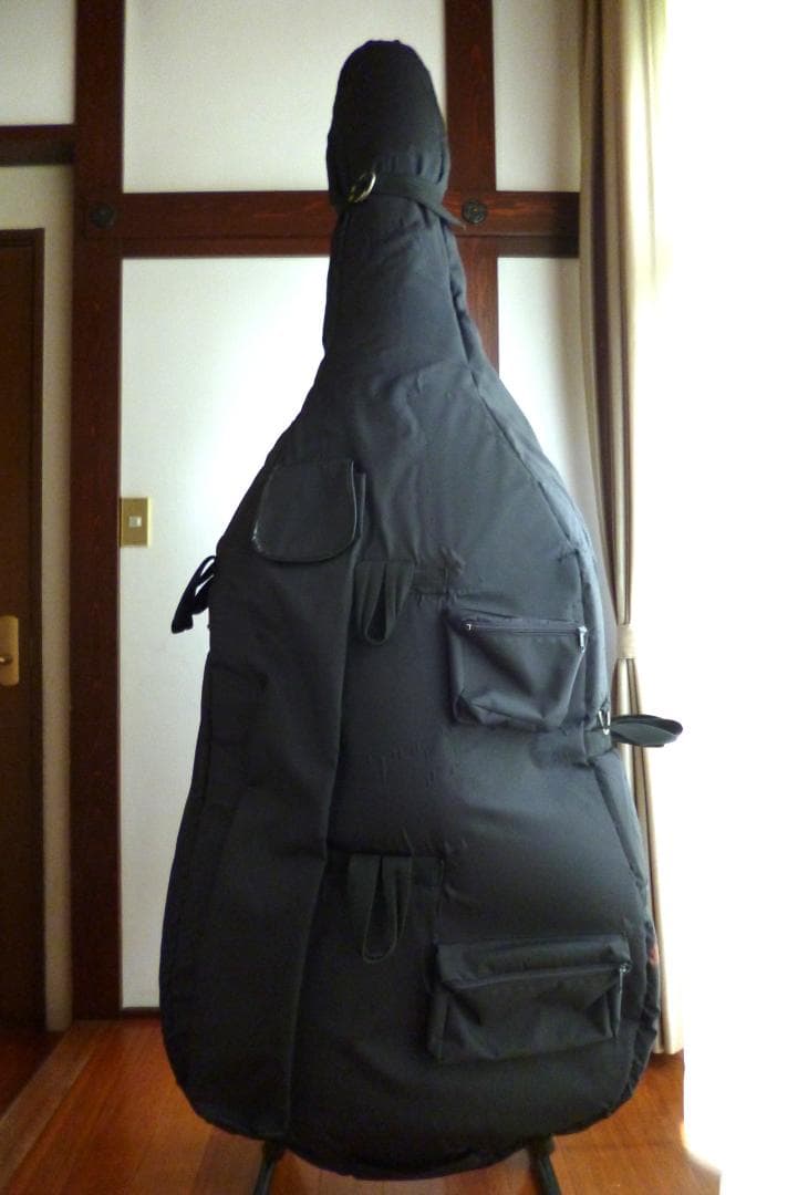 【sk12 様 引取限定】カルロ・ジョルダーノ SB-300M（ケース不要）