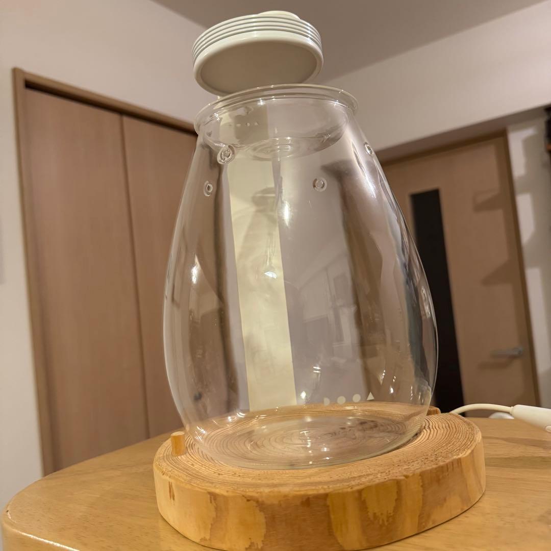 【DOOA】SHIZUKU ガラスポット【ADA】