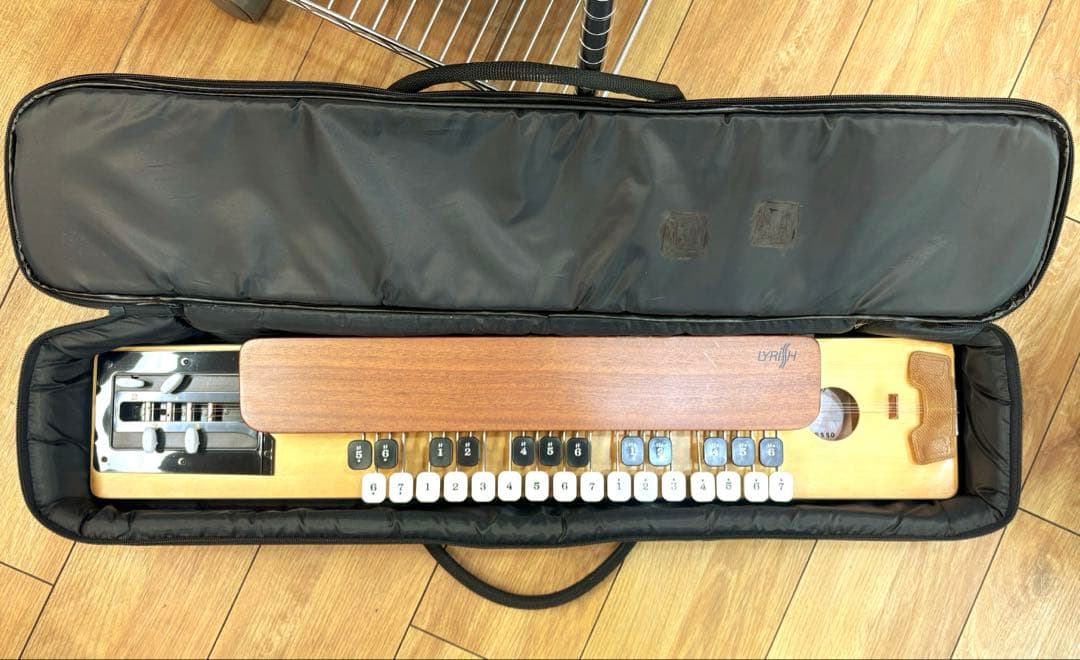 ライリッシュ 大正琴 LPS50 和楽器 専用ソフトケース 楽譜付き