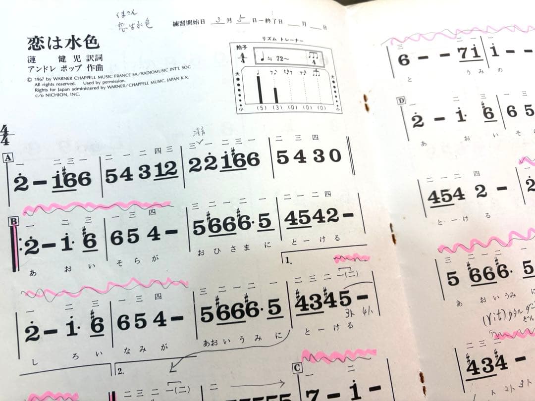 ライリッシュ 大正琴 LPS50 和楽器 専用ソフトケース 楽譜付き