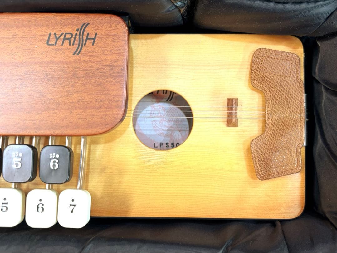 ライリッシュ 大正琴 LPS50 和楽器 専用ソフトケース 楽譜付き