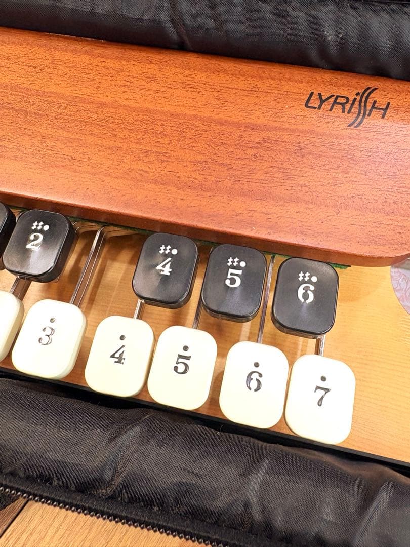 ライリッシュ 大正琴 LPS50 和楽器 専用ソフトケース 楽譜付き