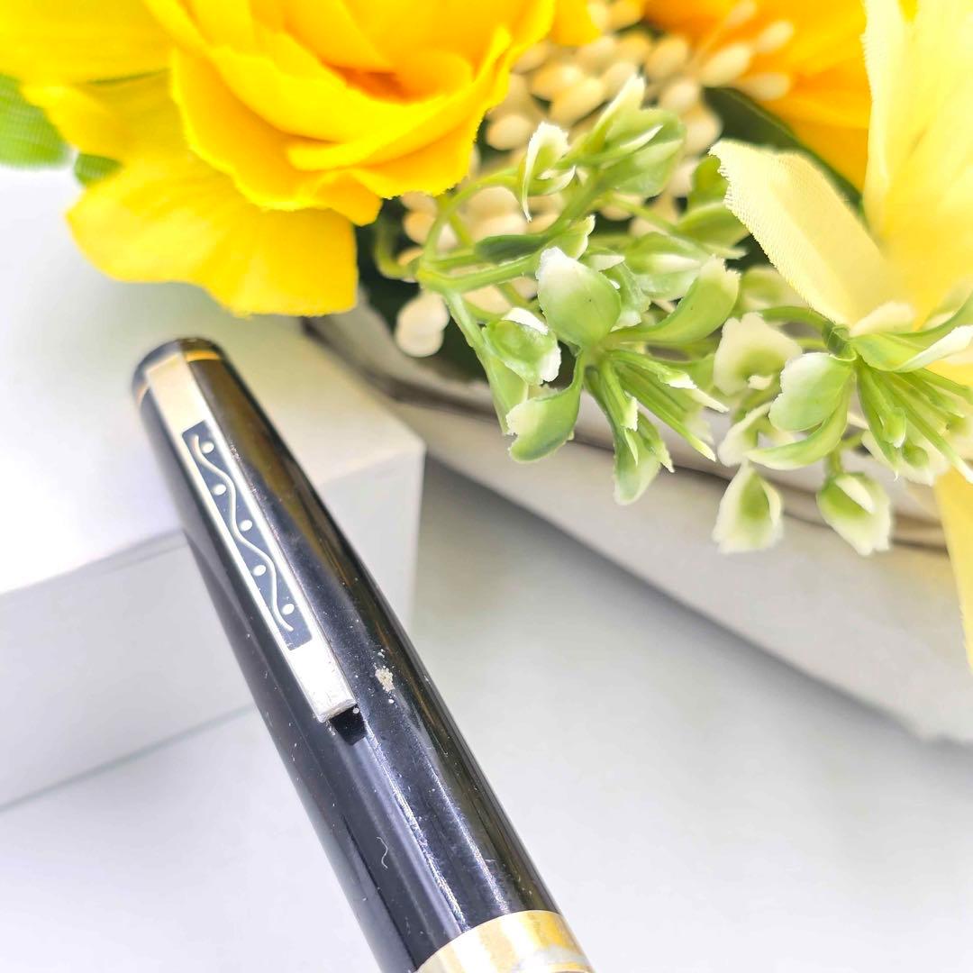 Platinum プラチナ 万年筆 18K 廃盤品 中字 筆記未確認