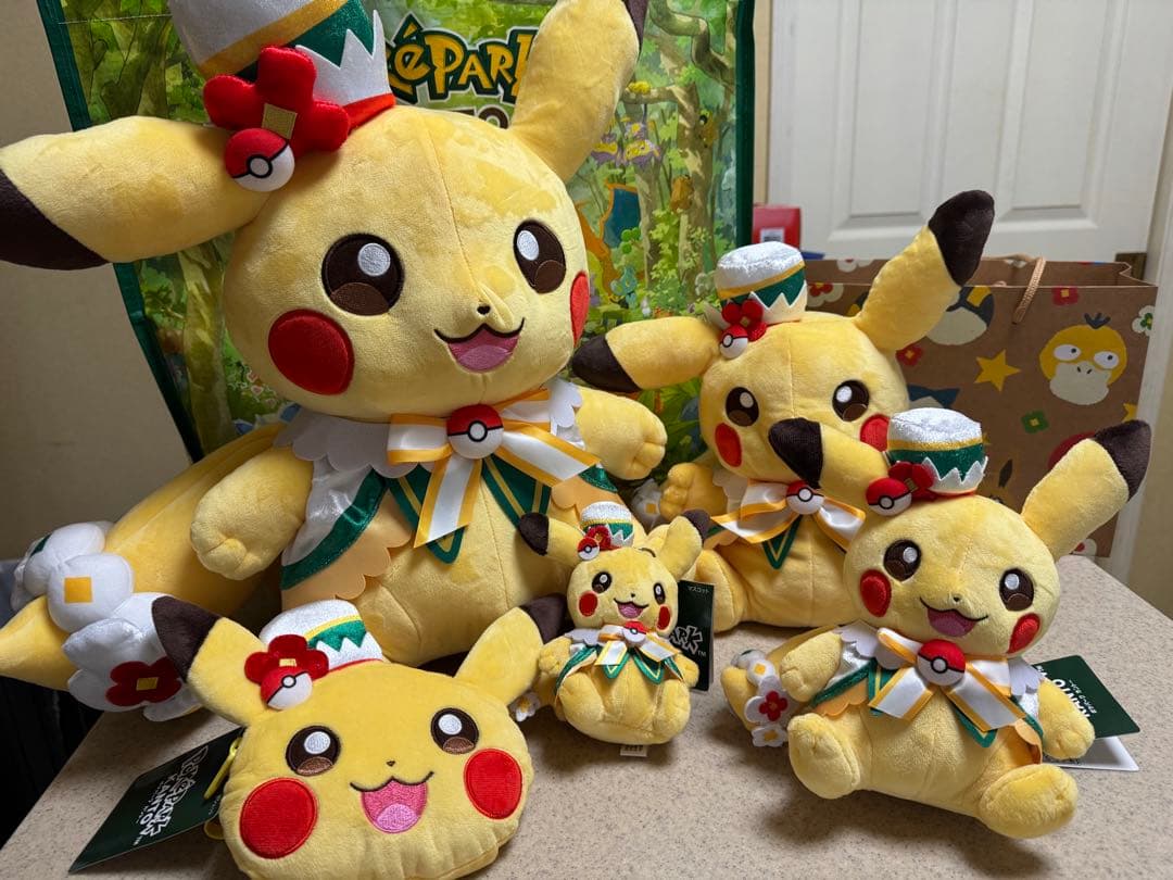 ポケパーク カントー ショップ 限定 ピカチュウ ぬいぐるみ 5体セット