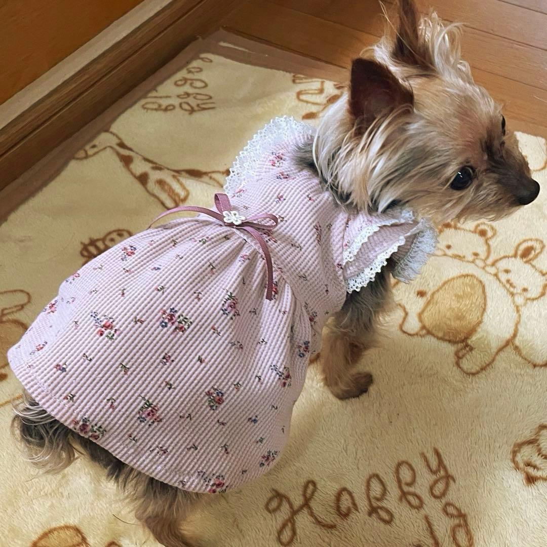 ハンドメイド犬服　ワッフルニットのキャミワンピ　色違い３色　お袖2段レース