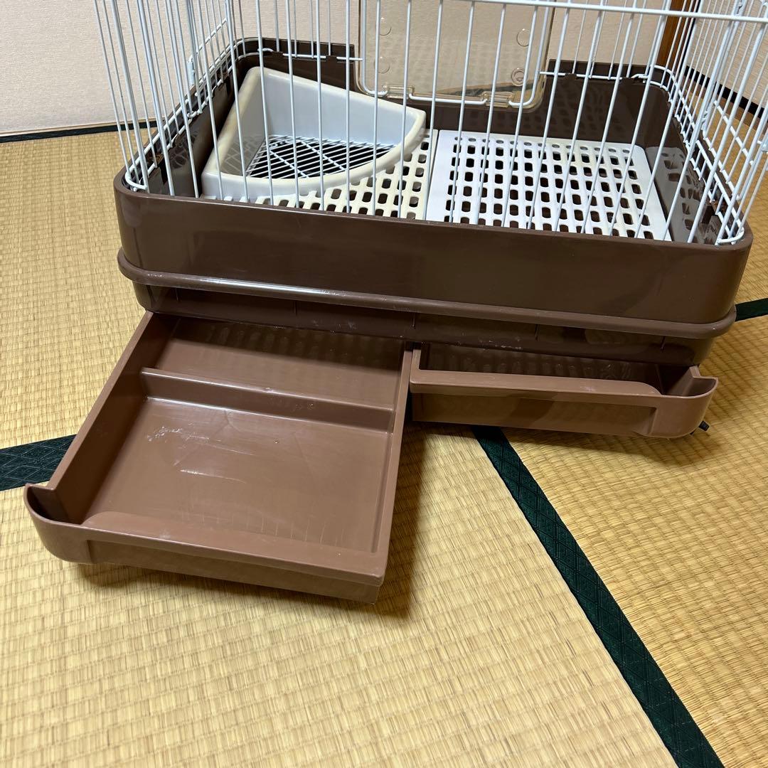うさぎ小屋