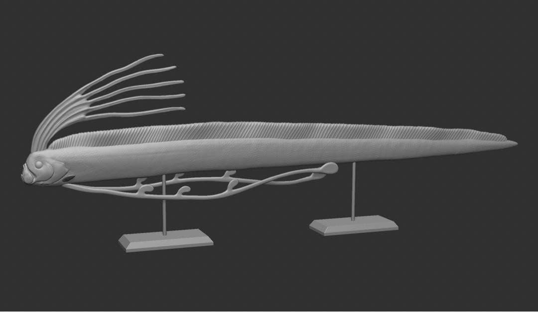 ディギ　リュウグウノツカイ