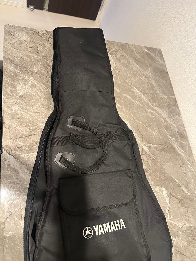 ギター YAMAHA CPX1000