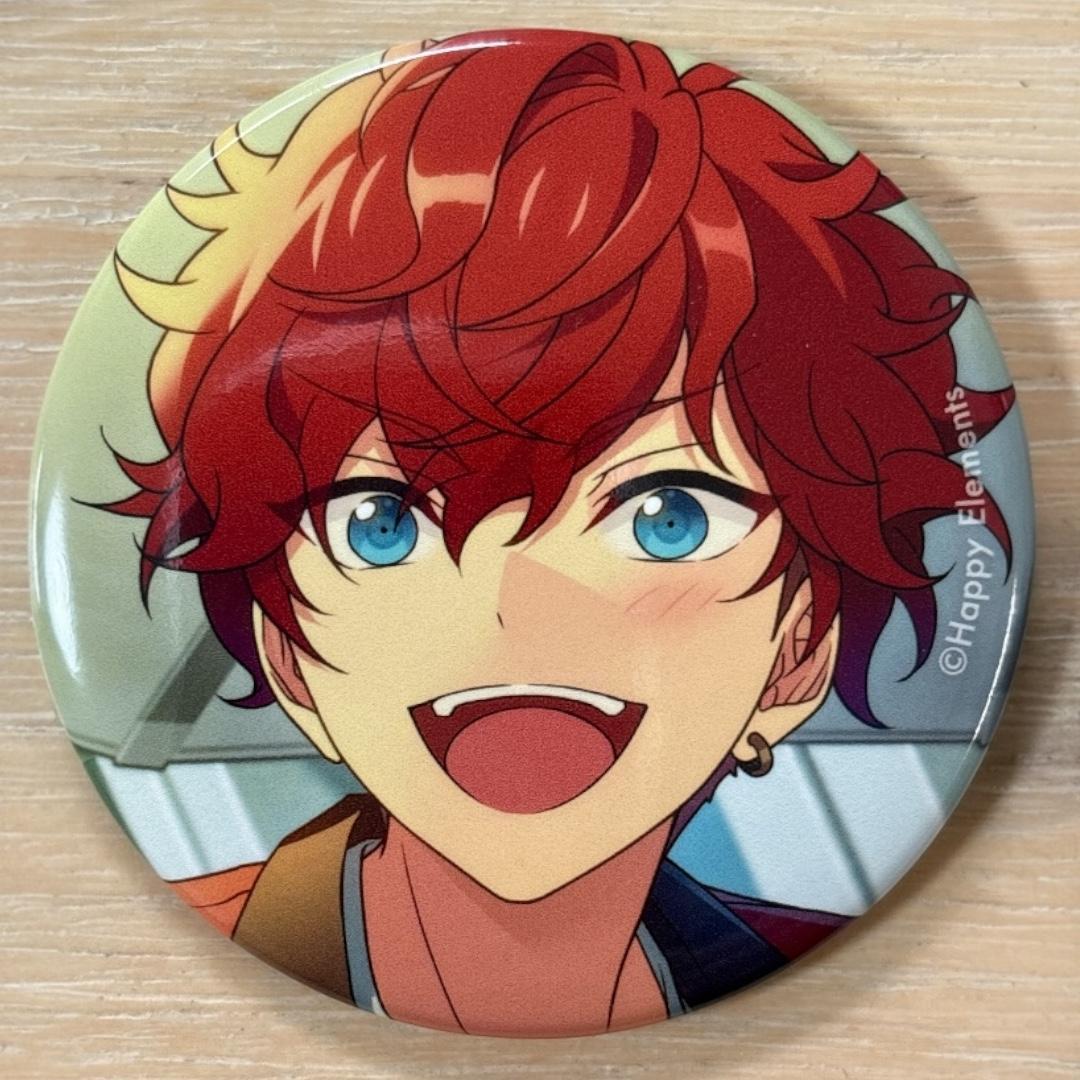 天城一彩 あんスタ コレクション 缶バッジ Feb casual 10個