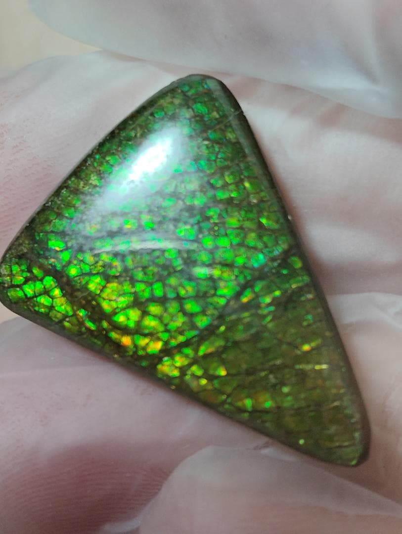 アンモライト　ルース　24-0750 15000