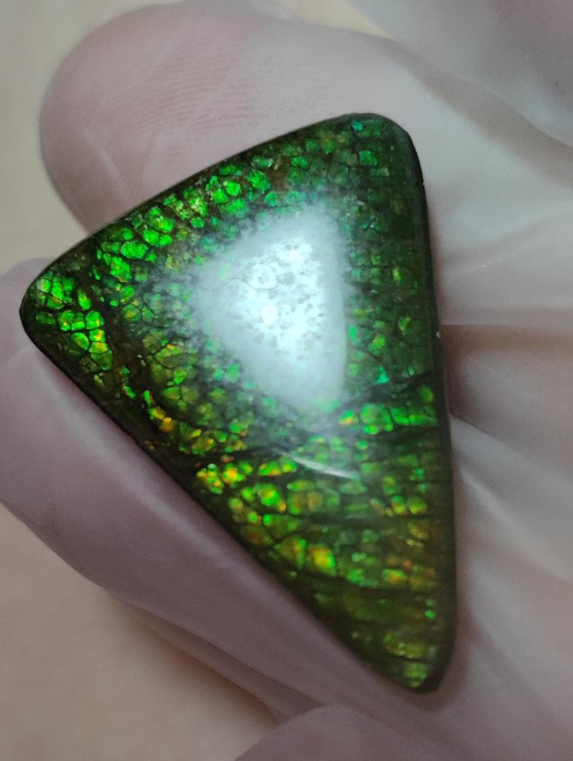 アンモライト　ルース　24-0750 15000