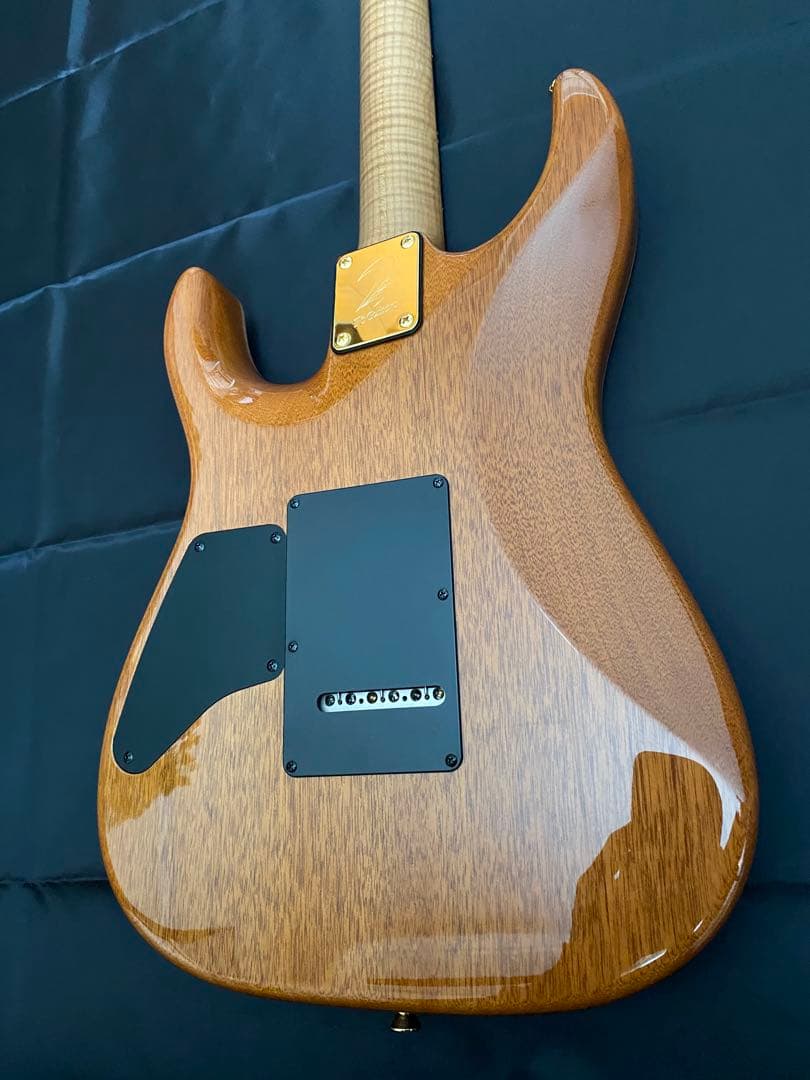 【極美品】T's Guitars DST-Pro24 ～Legend Blue～