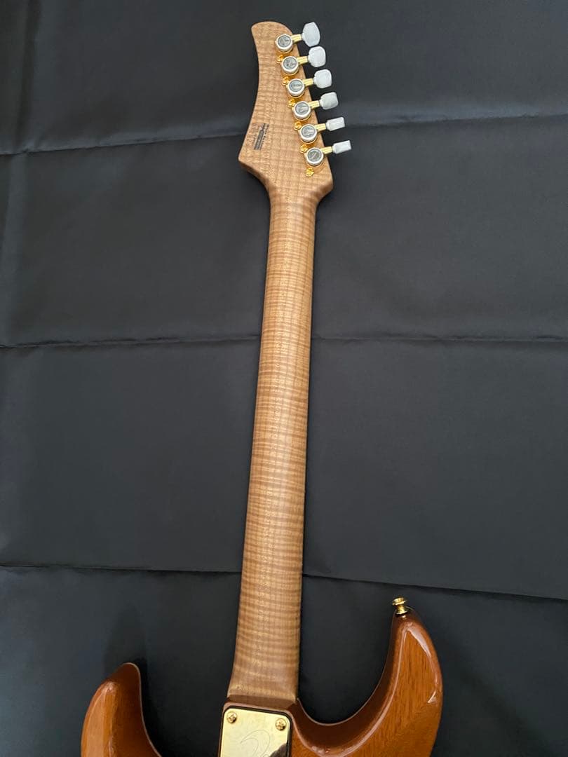 【極美品】T's Guitars DST-Pro24 ～Legend Blue～