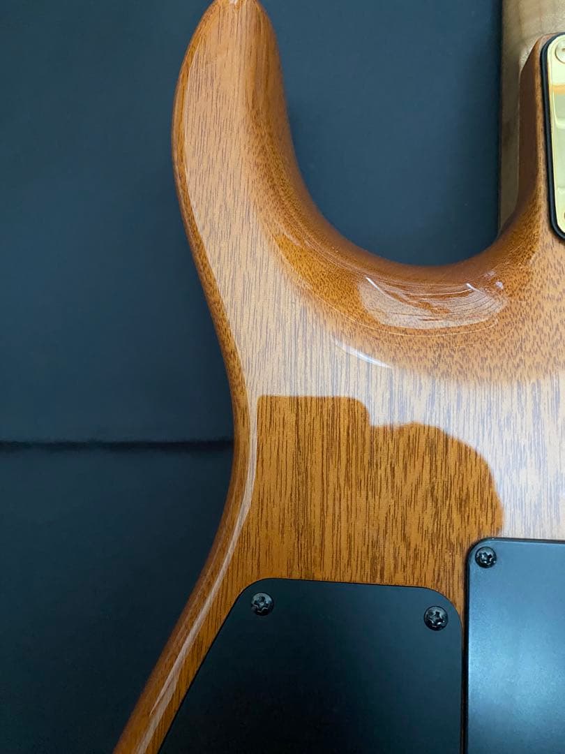 【極美品】T's Guitars DST-Pro24 ～Legend Blue～