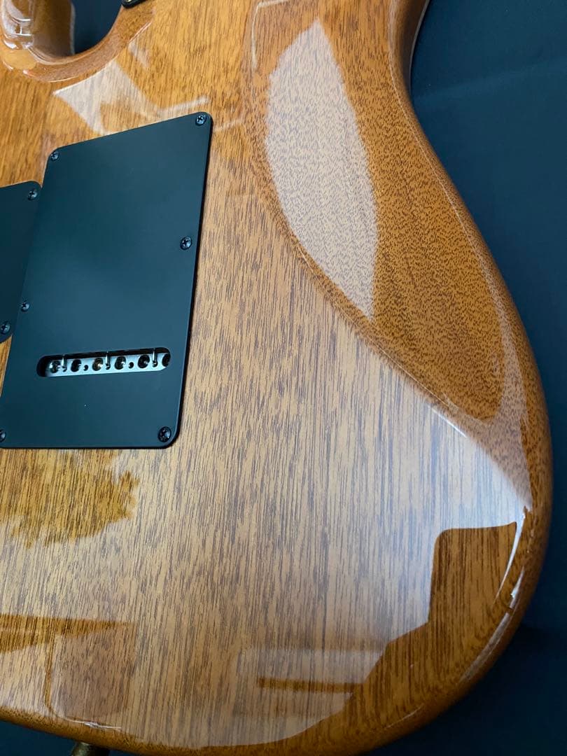 【極美品】T's Guitars DST-Pro24 ～Legend Blue～