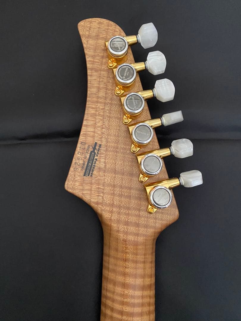 【極美品】T's Guitars DST-Pro24 ～Legend Blue～