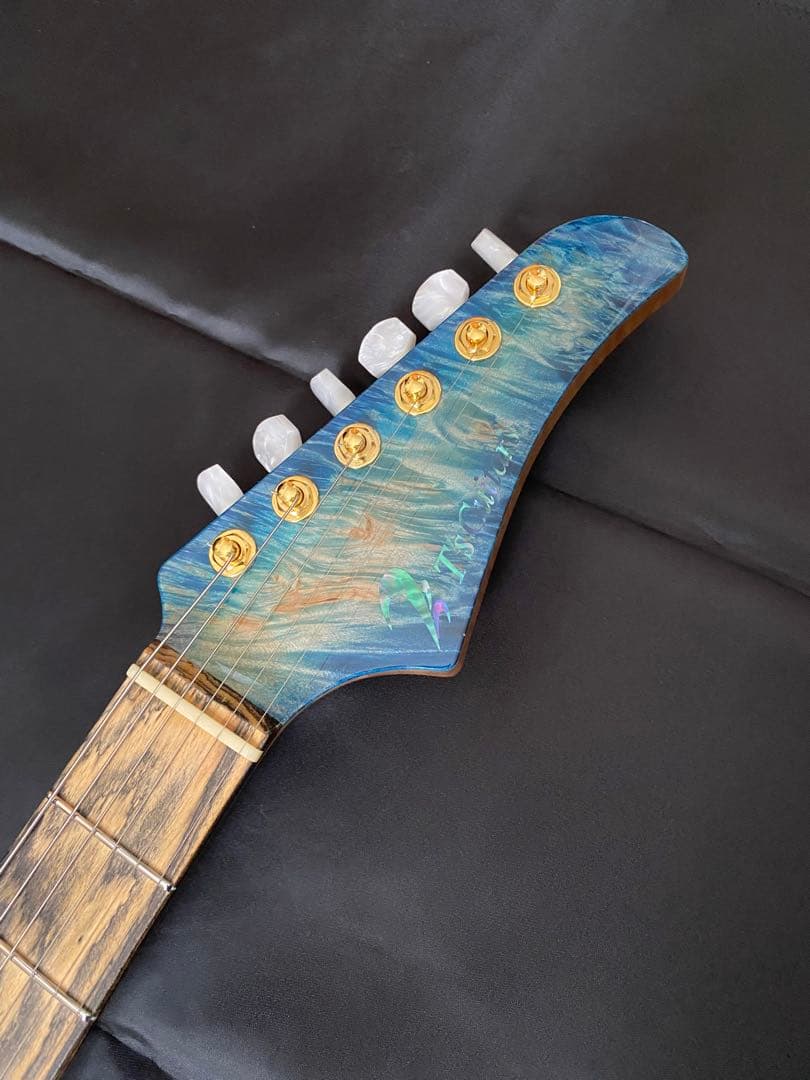 【極美品】T's Guitars DST-Pro24 ～Legend Blue～