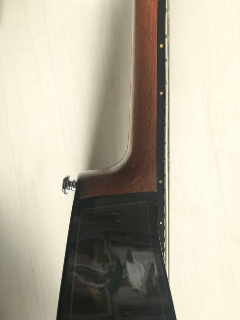 10弦バンドリン(マンドリン)