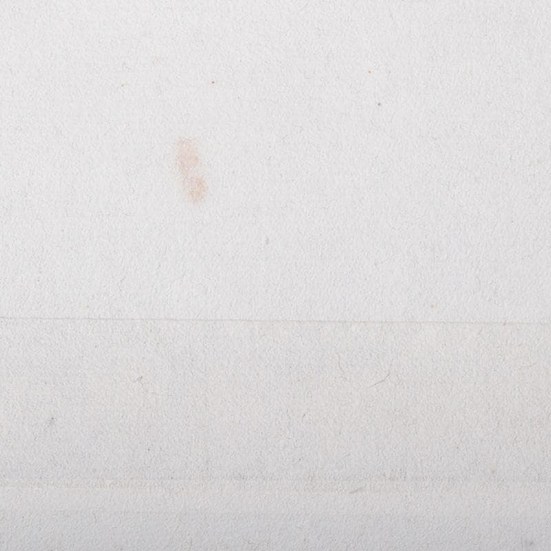 掛軸　前大徳　藤井誡堂筆　一行書　「白鶴舞老松」　共箱　C　7737A