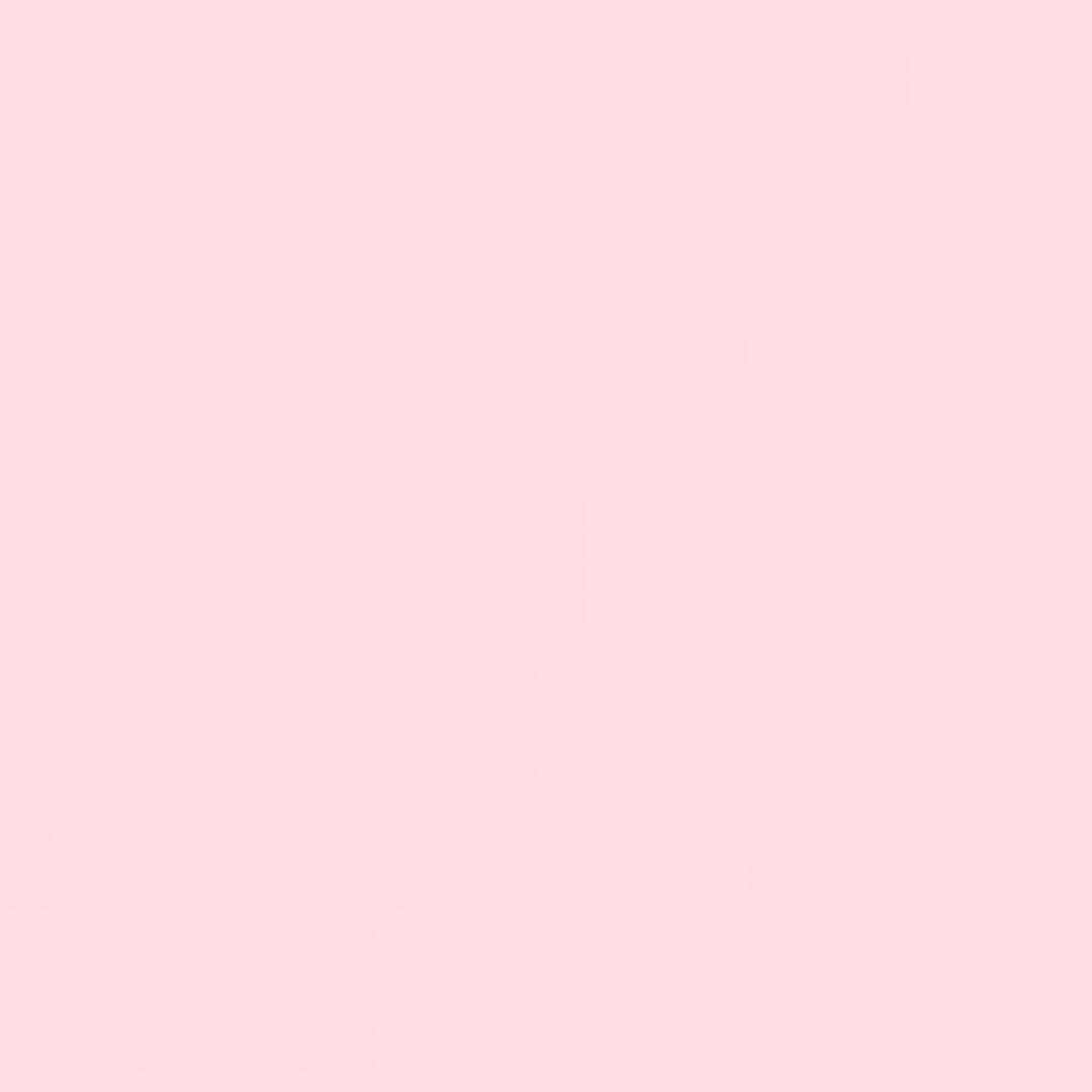 タレント・お笑い芸人 dears