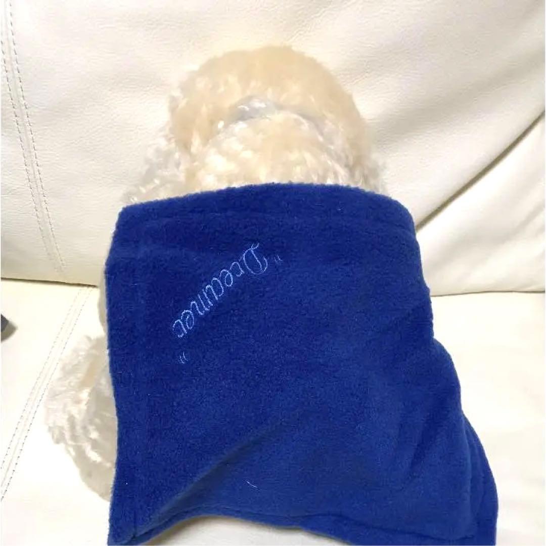 ドイツ、グリズリー・シュピールヴァーレン社製テディベア 世界限定20/222