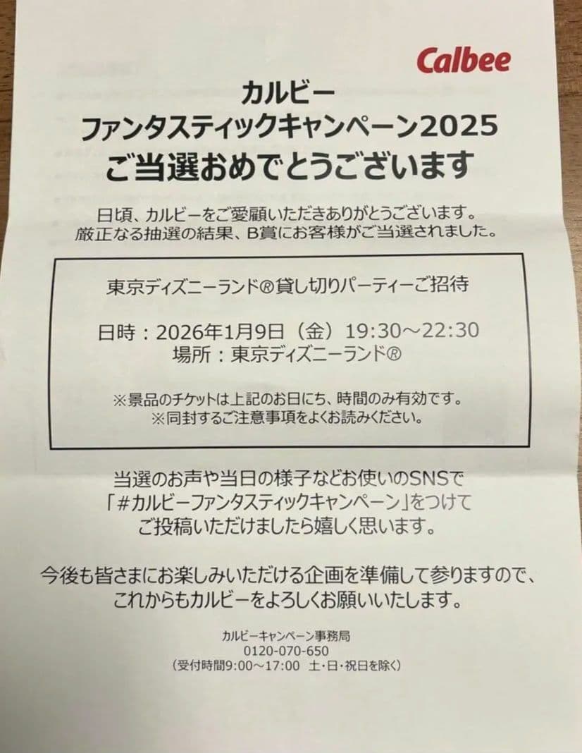 カルビー　東京ディズニーランド　貸切　2名