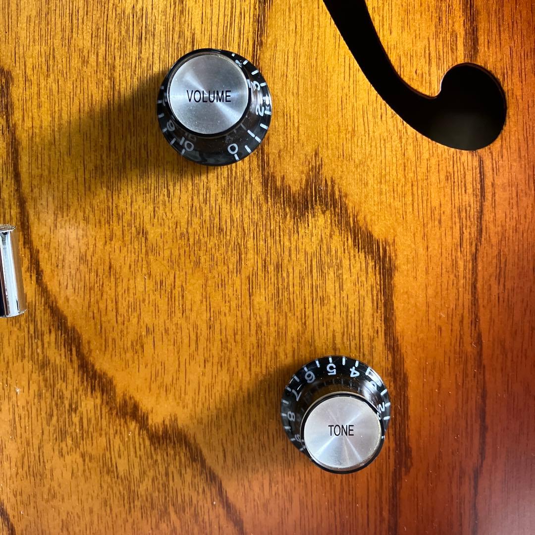 Godin 5th Avenue フルアコースティックギター