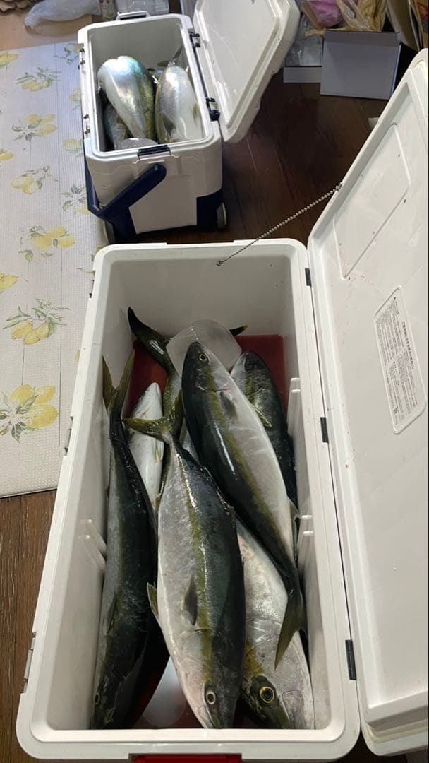 ダイワ スピニングリール 23ソルティガ 6000-P