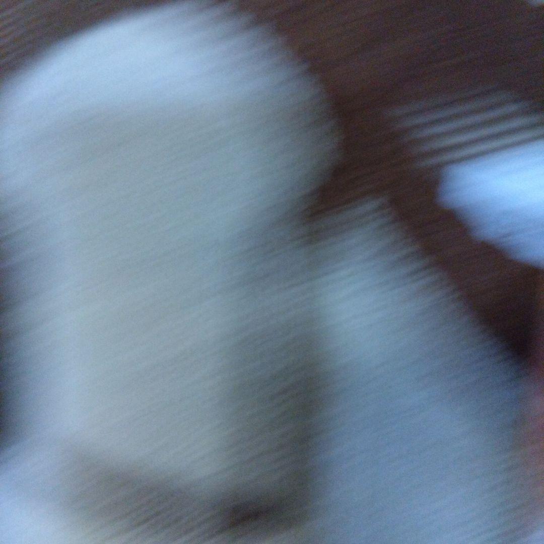 パンどろぼうニットセーター 未使用 L　　　グラニフ