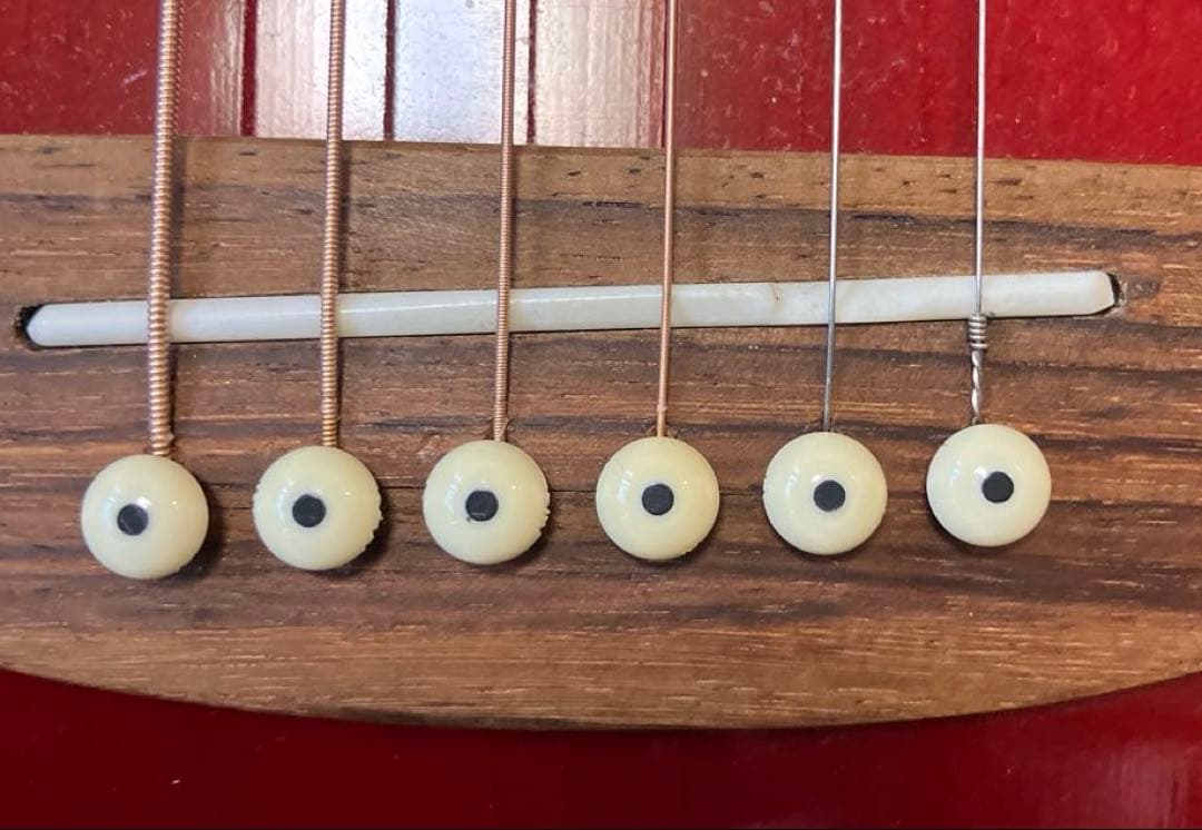 Takamine D21-WR DragonSeries アコースティックギター