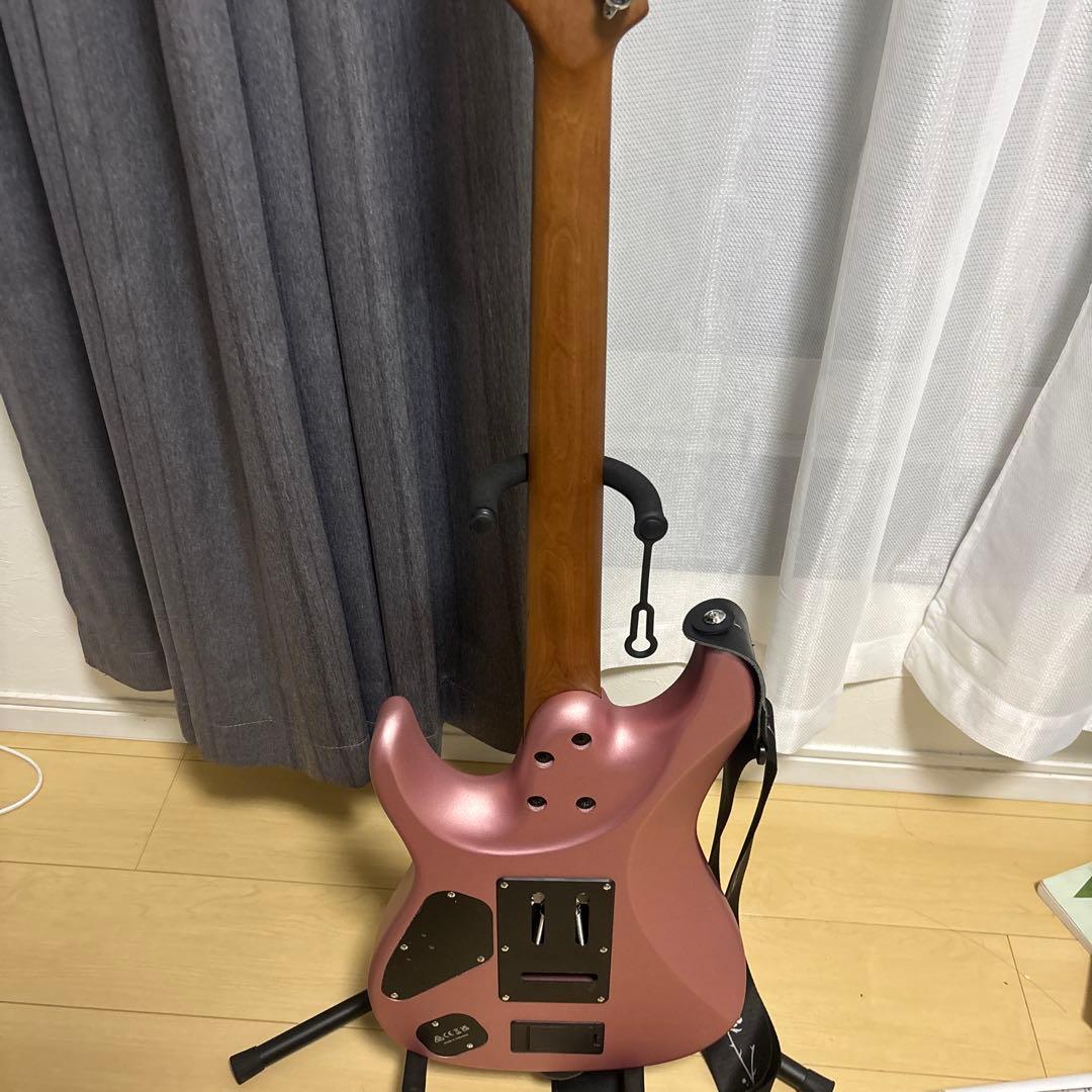 R*D様 Ibanez TOD10MM Timhenson signature