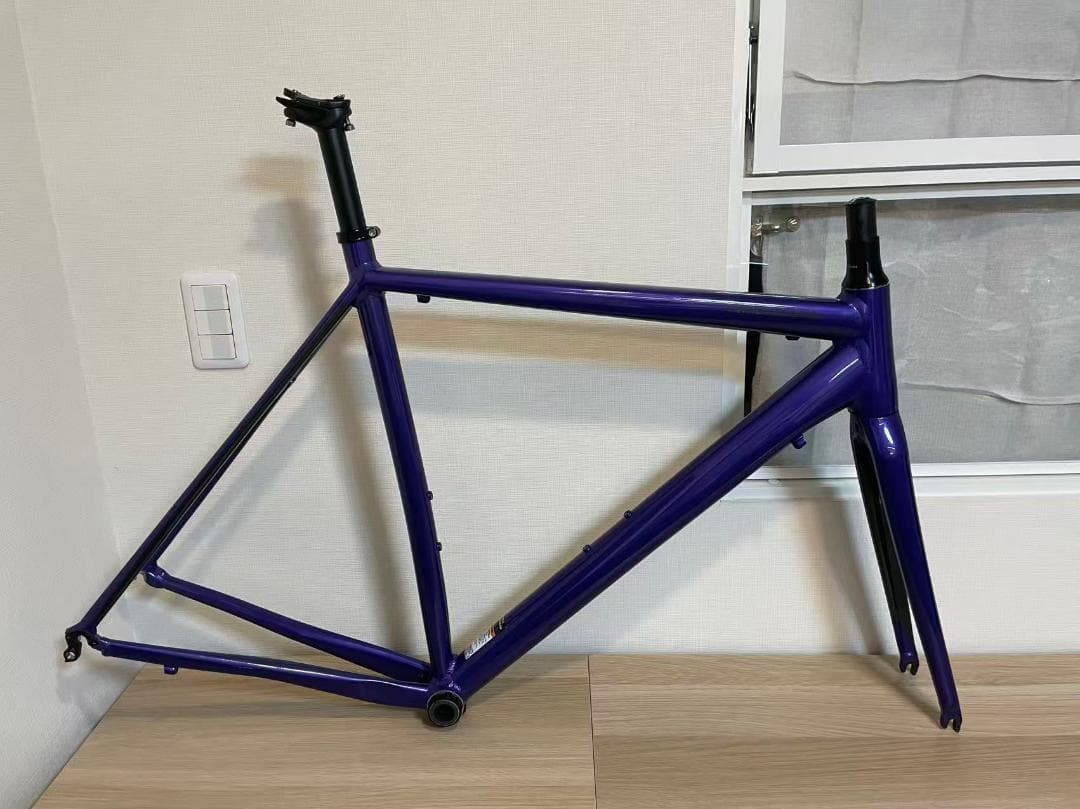 Cannondale CAAD OPTIMO 2019 フレームセット 54