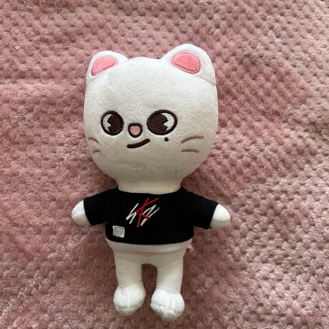 スキズ straykids skzoo